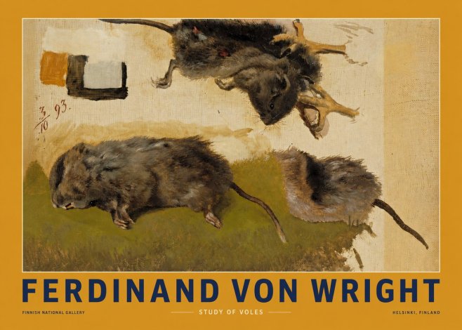 Ferdinand von Wright Studies of Lemmings No3 - Poszter