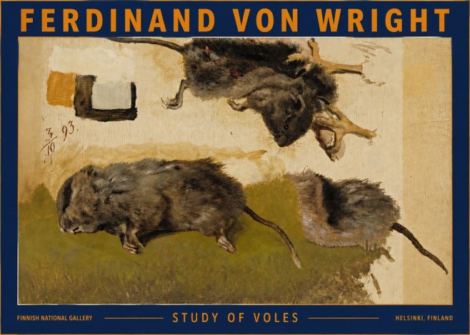 Ferdinand von Wright Studies of Lemmings No5 - Poszter