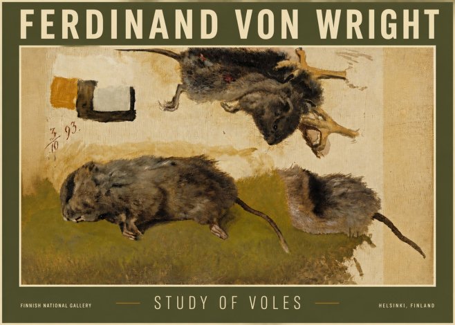 Ferdinand von Wright Studies of Lemmings No6 - Poszter