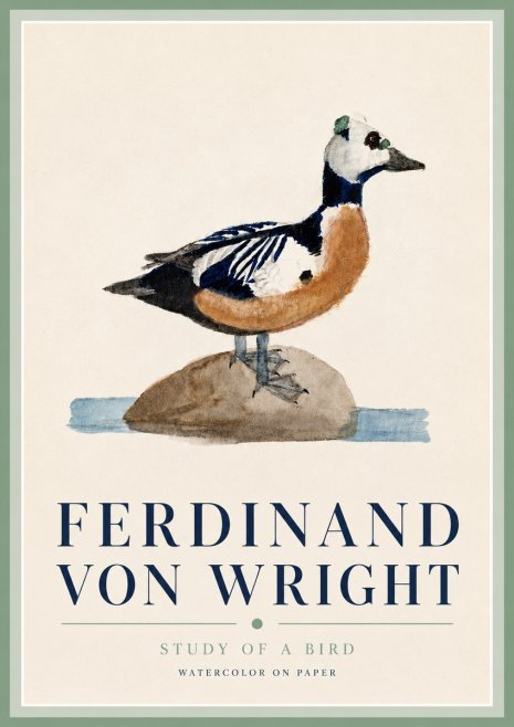 Ferdinand von Wright Study of a Bird No3 - Poszter