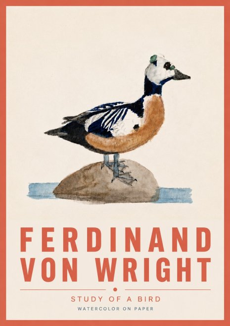 Ferdinand von Wright Study of a Bird No6 - Poszter