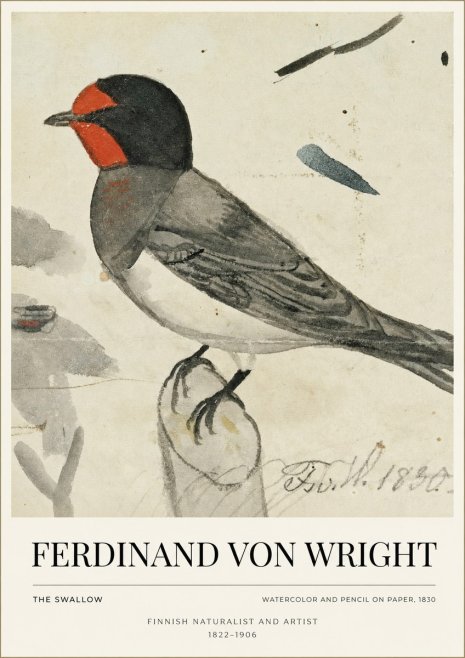 Ferdinand von Wright The Swallow No1 - Poszter