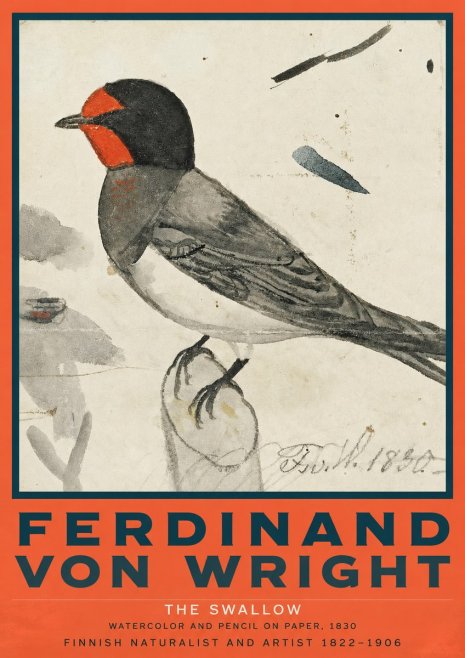 Ferdinand von Wright The Swallow No2 - Poszter