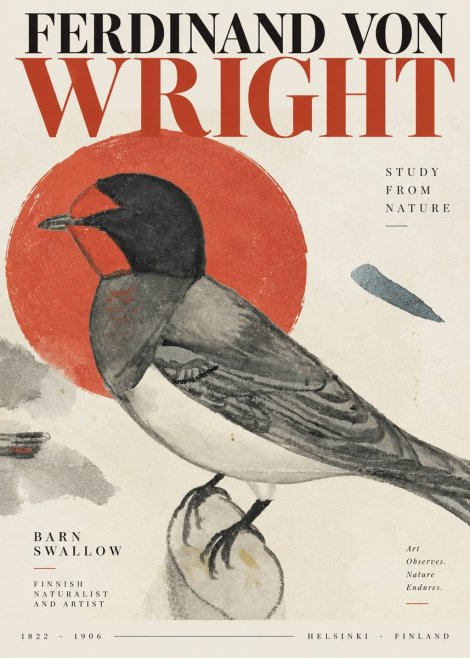 Ferdinand von Wright The Swallow No4 - Poszter