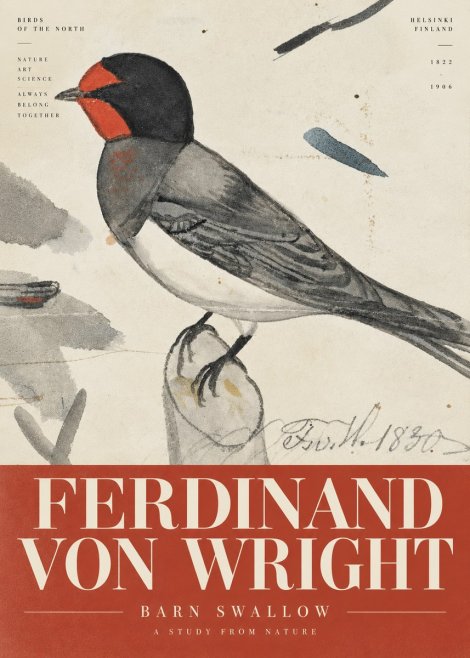 Ferdinand von Wright The Swallow No6 - Poszter