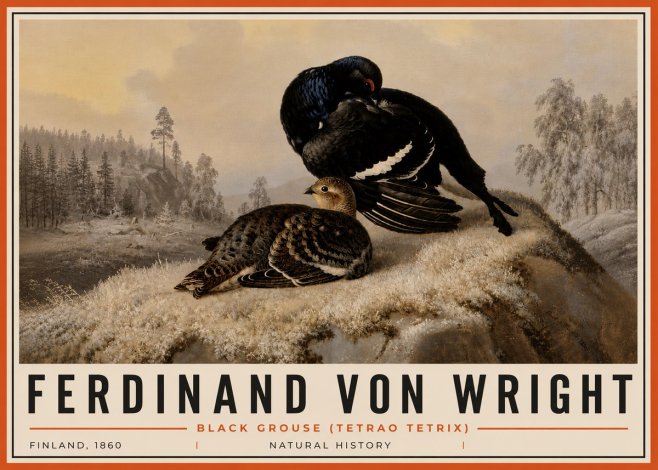 Ferdinand von Wright Black Grouse (Tetrao Tetrix) No6 - Poszter