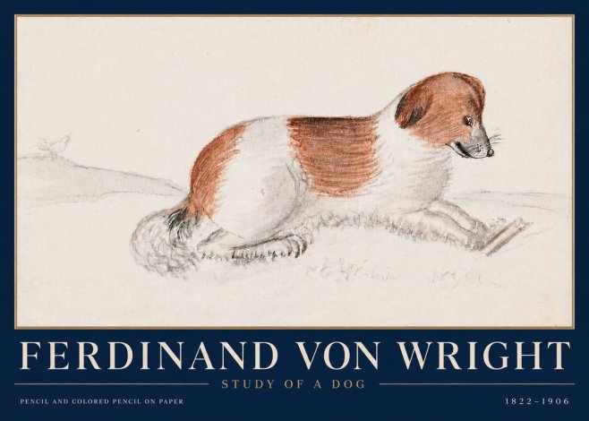 Ferdinand von Wright Study of a Dog No4 - Poszter