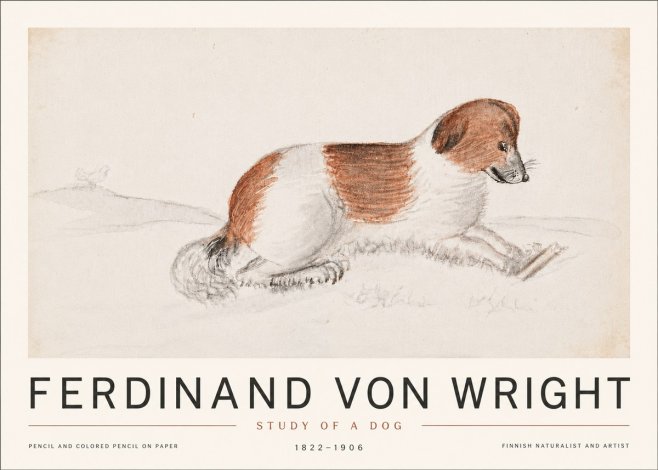 Ferdinand von Wright Study of a Dog No6 - Poszter