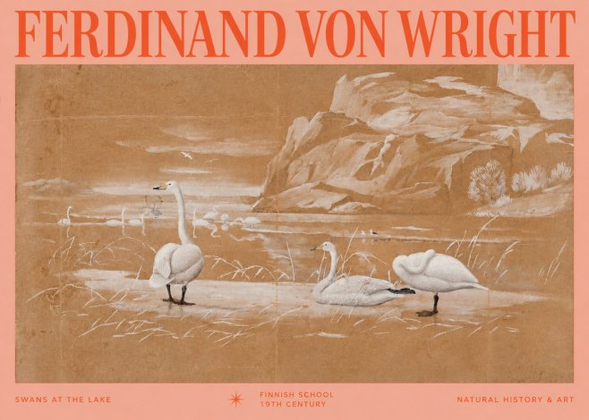 Ferdinand von Wright Swans at the Lake No2 - Poszter