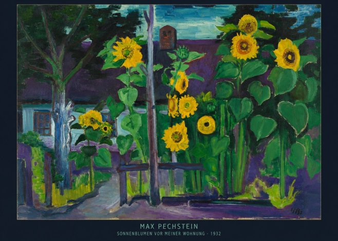 Max Pechstein Sonnenblumen Vor Meiner Wohnung No6 - Poszter