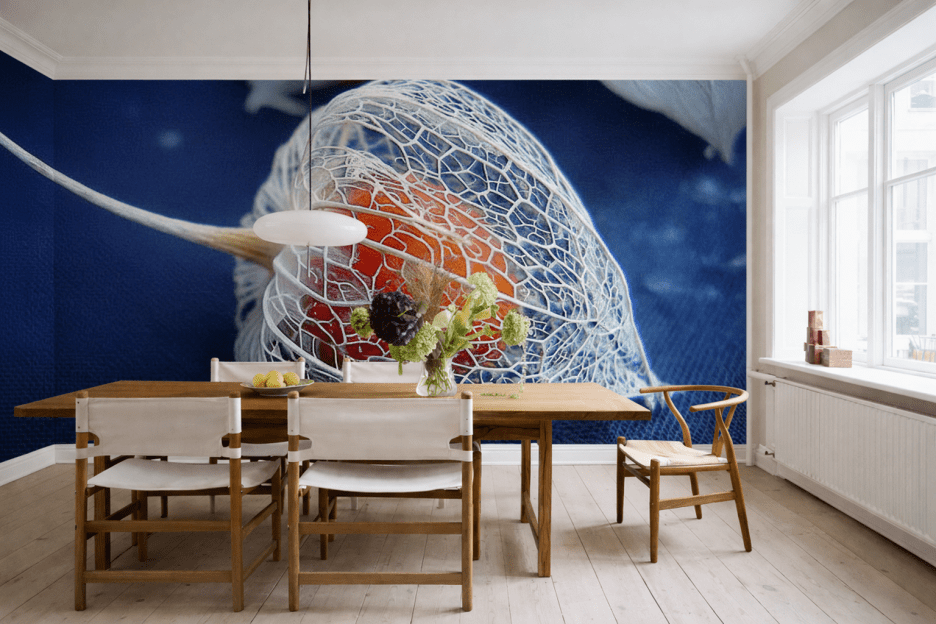 Lantern Shell Moments