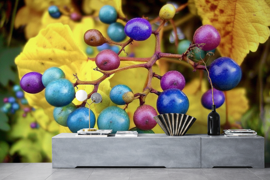 Vibrant Harvest Cluster