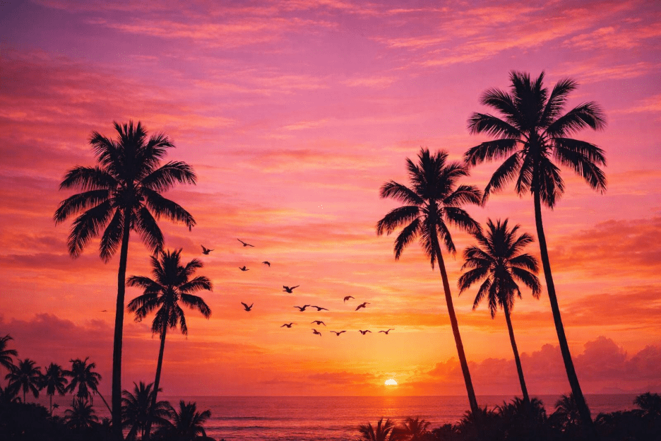 Tropical Silken Sunset