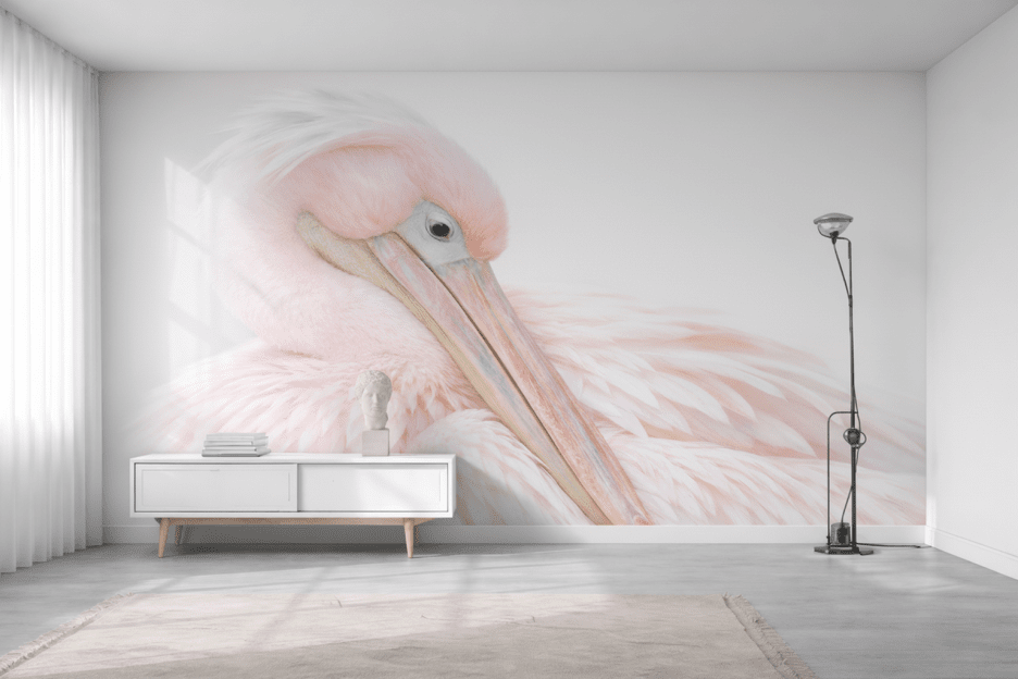 Blush Feathers