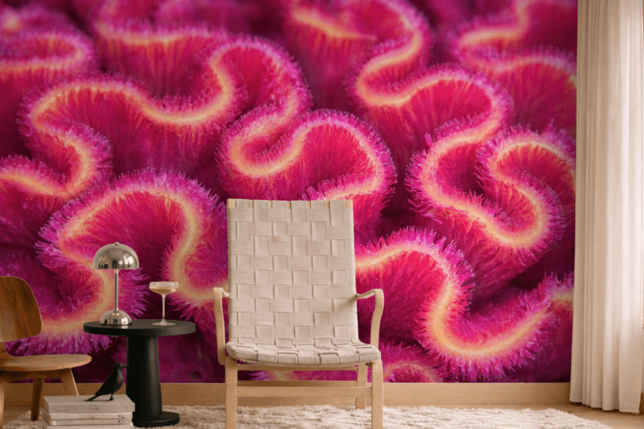 Coral Labyrinth