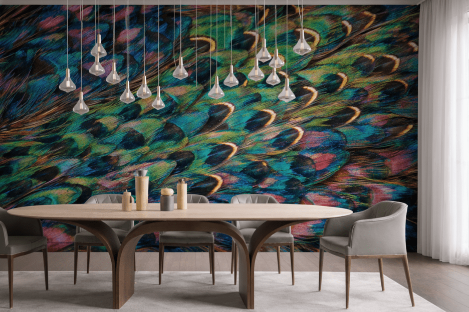 Peacock Peafowl Feather