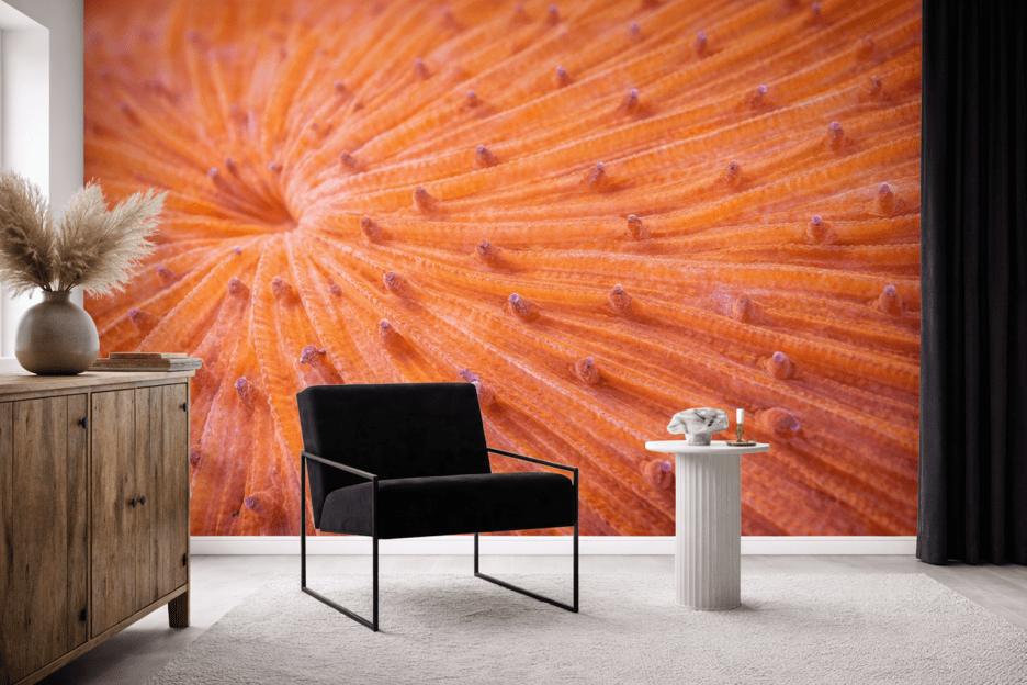 Oceanic Sunrise Burst