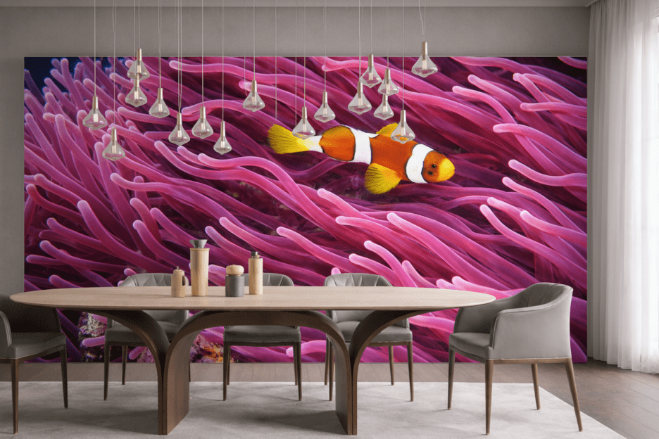 Coral Reef Enchantment