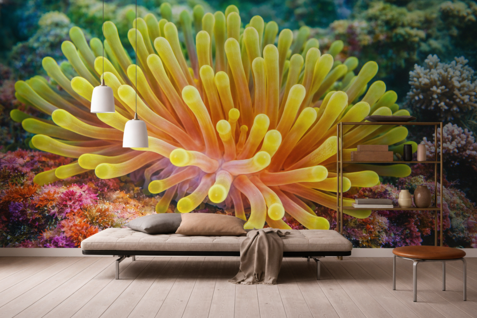 Amber Anemone Garden