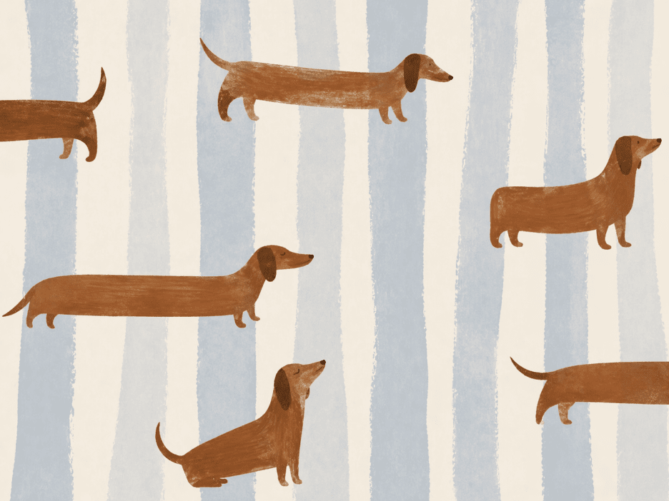 Linear Canine Parade