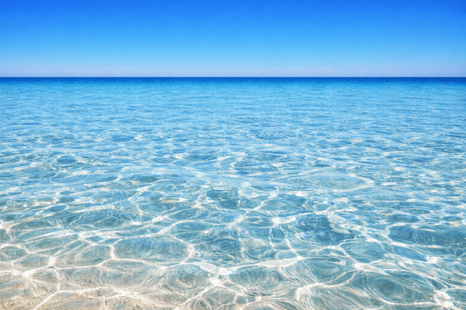 Reflective Waterscape