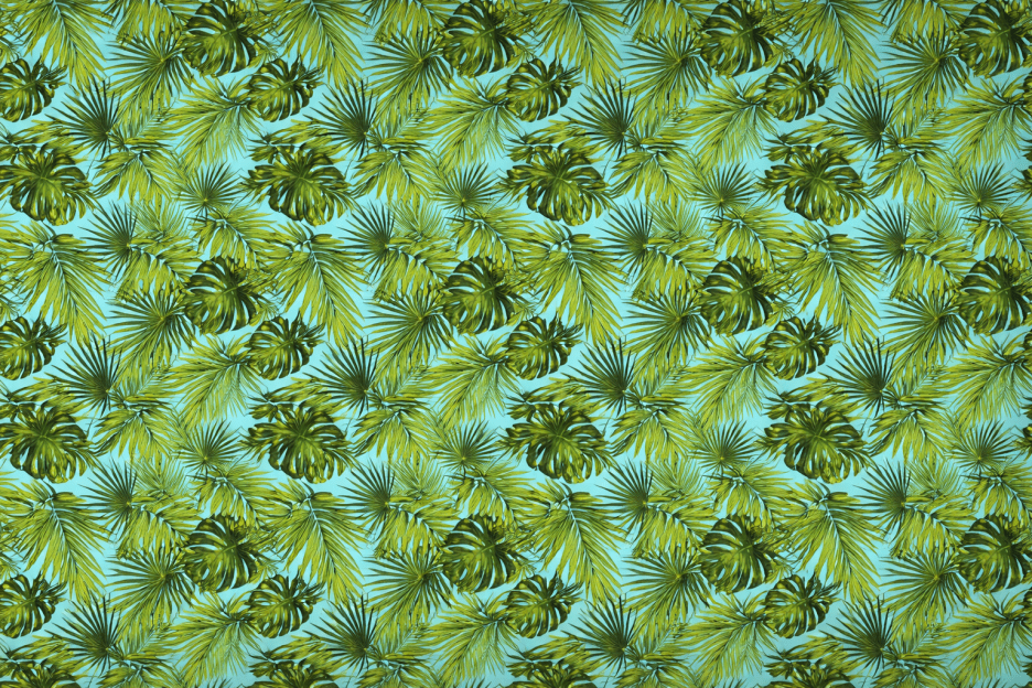 Tropical Canopy Veil