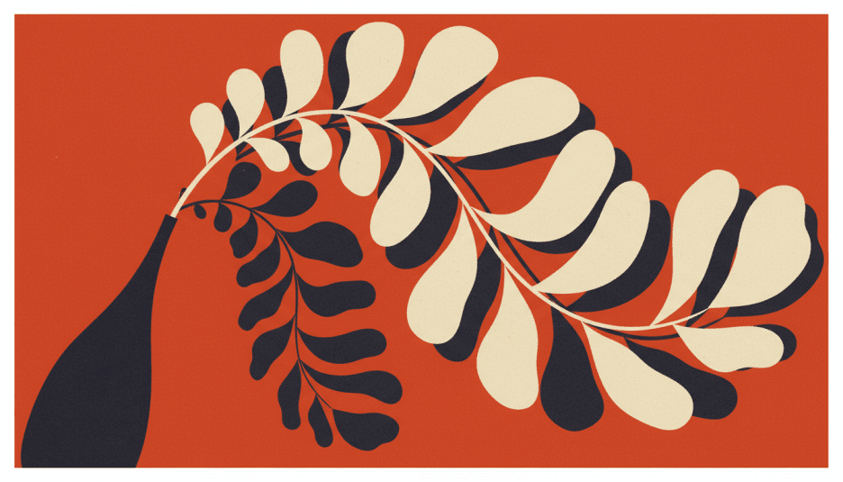 Fern Shadow Dance