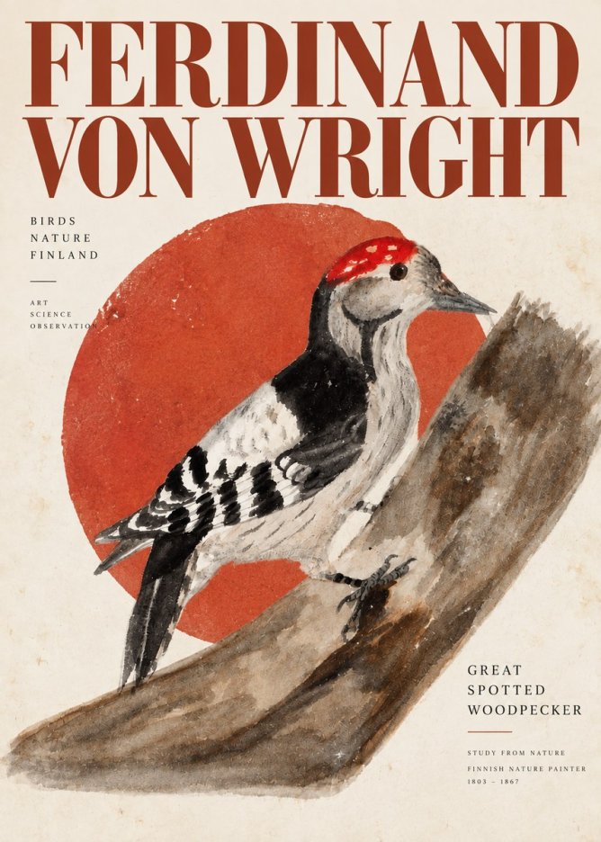 Ferdinand von Wright Woodpecker Study No6 - Poszter
