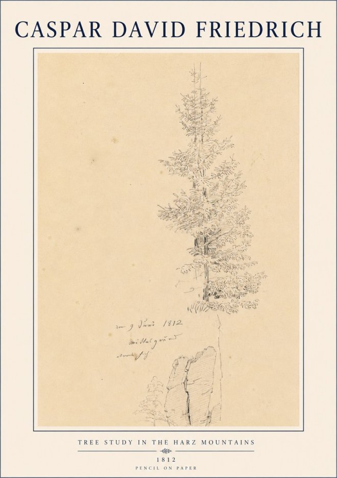 Caspar David Friedrich Tree Study in the Harz Mountains No4 - Poszter