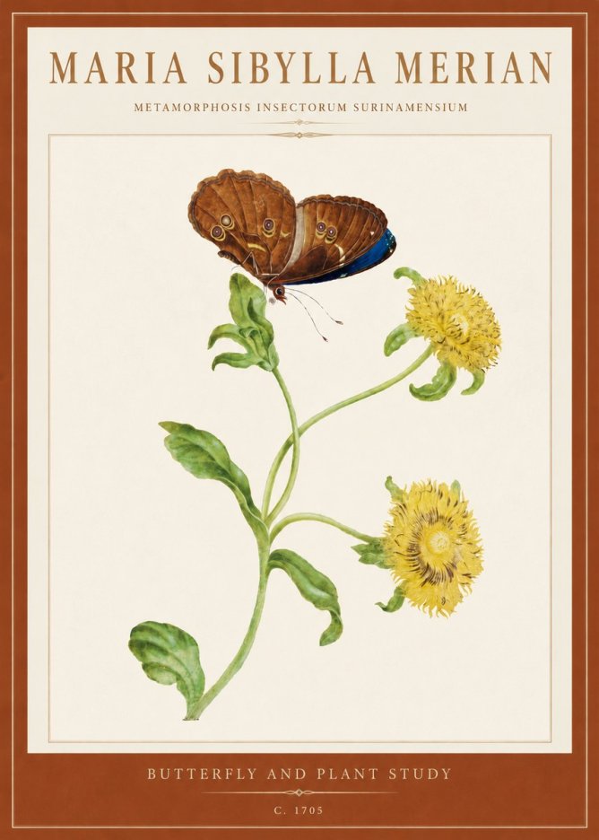 Maria Sibylla Merian Butterfly and Plant Study No5 - Poszter
