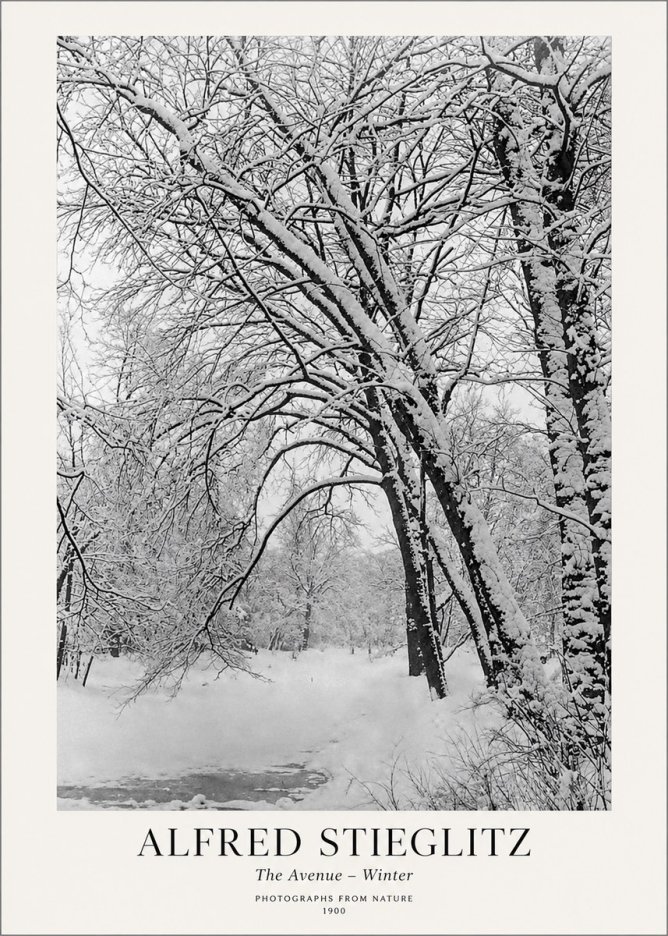 Alfred Stieglitz The Avenue – Winter No1 - Poszter