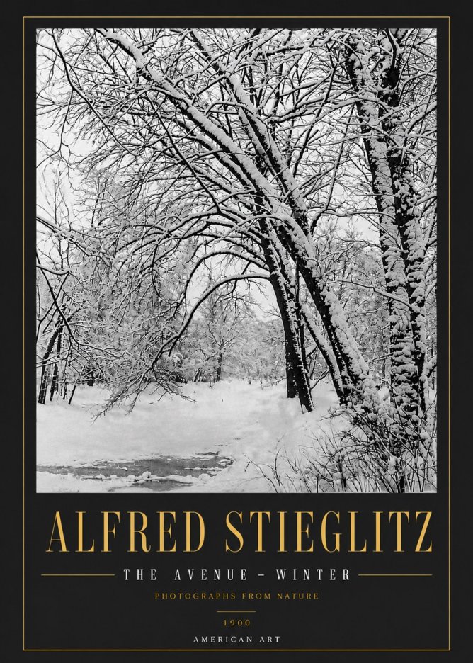 Alfred Stieglitz The Avenue – Winter No6 - Poszter
