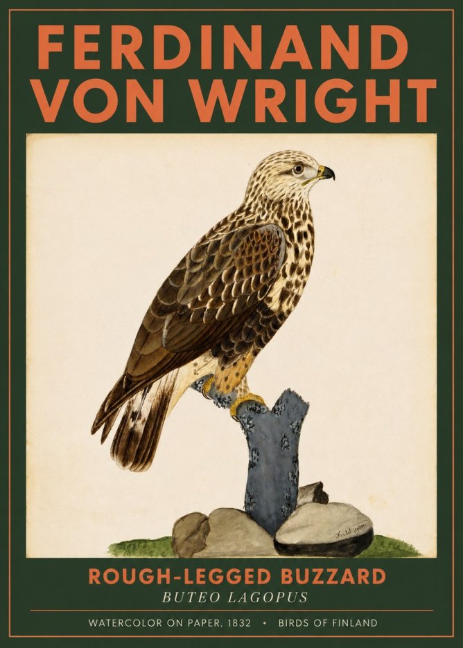 Ferdinand von Wright Rough-legged Buzzard No2 - Poszter