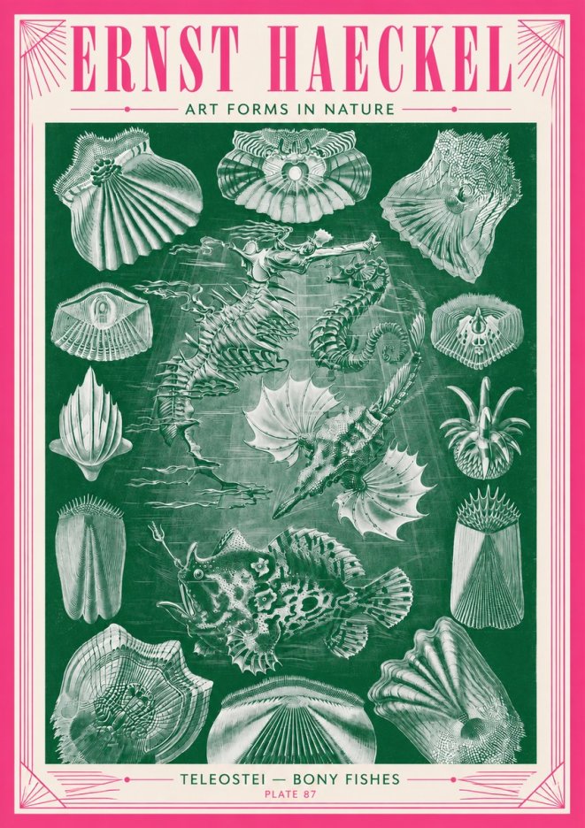 Ernst Haeckel Teleostei - Bony Fishes No3 - Poszter