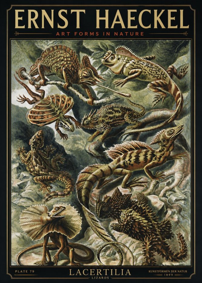 Ernst Haeckel Lacertilia Lizards No3 - Poszter