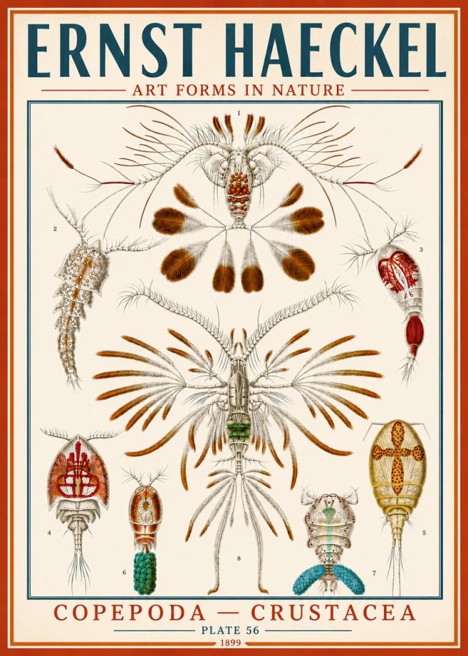 Ernst Haeckel Copepoda — Crustacea Plate 56 No5 - Poszter