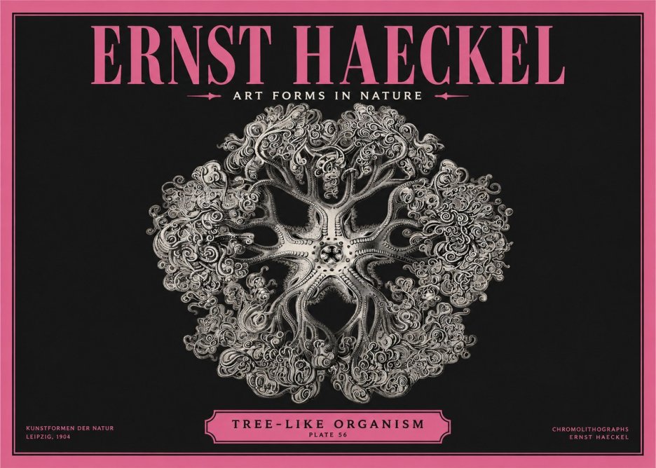 Ernst Haeckel Tree-like Organism No2 - Poszter
