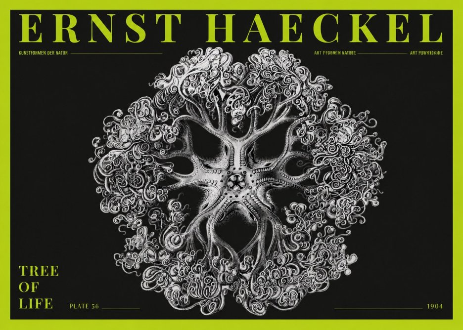 Ernst Haeckel Tree-like Organism No5 - Poszter