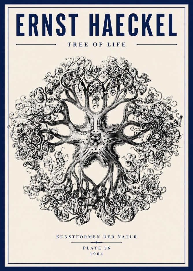 Ernst Haeckel Tree-like Organism No6 - Poszter
