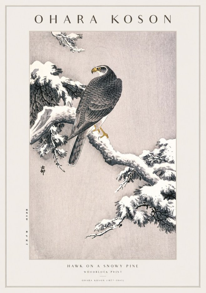 Ohara Koson Hawk on a Snowy Pine No1 - Poszter