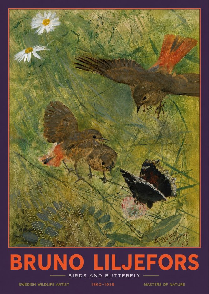 Bruno Liljefors Birds and Butterfly No2 - Poszter