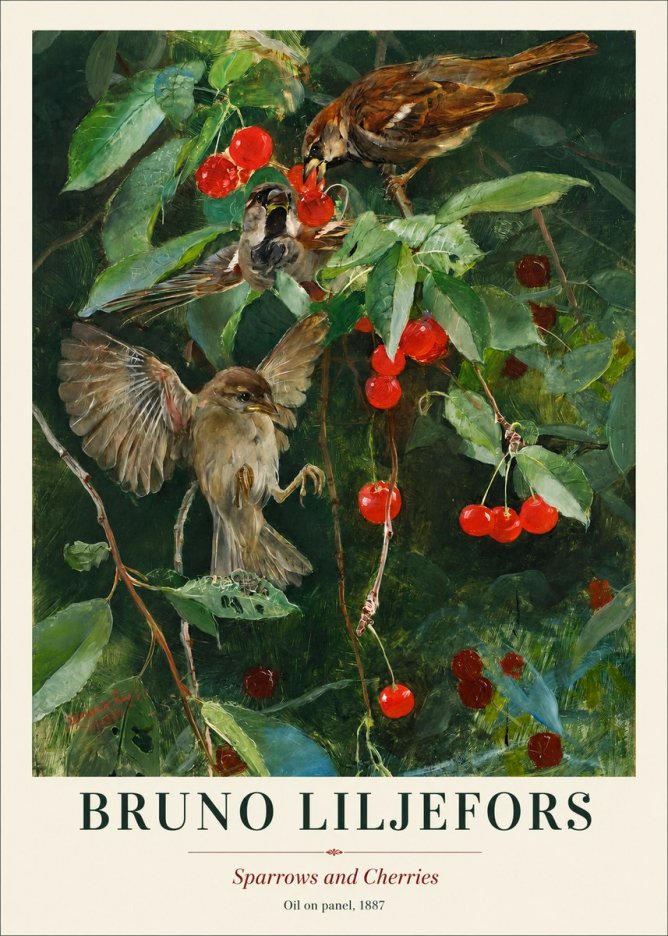 Bruno Liljefors Sparrows and Cherries No1 - Poszter