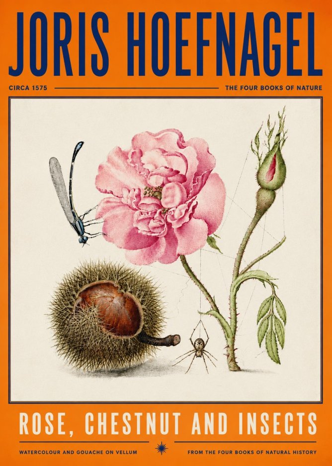 Joris Hoefnagel Rose, Chestnut and Insects No4 - Poszter