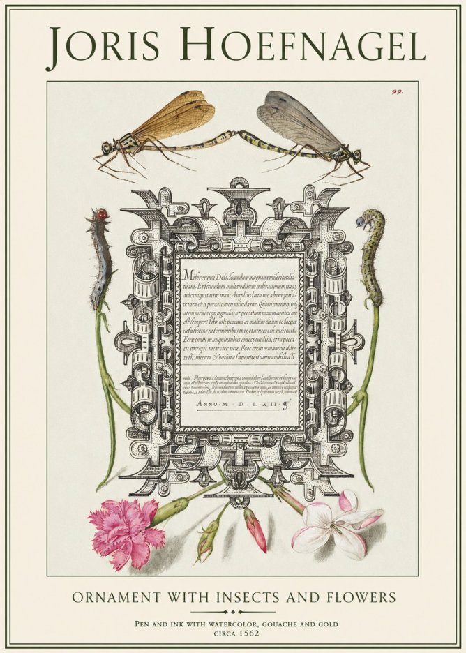 Joris Hoefnagel Ornamental Frame with Damselflies, Caterpillars and Flowers No2 - Poszter