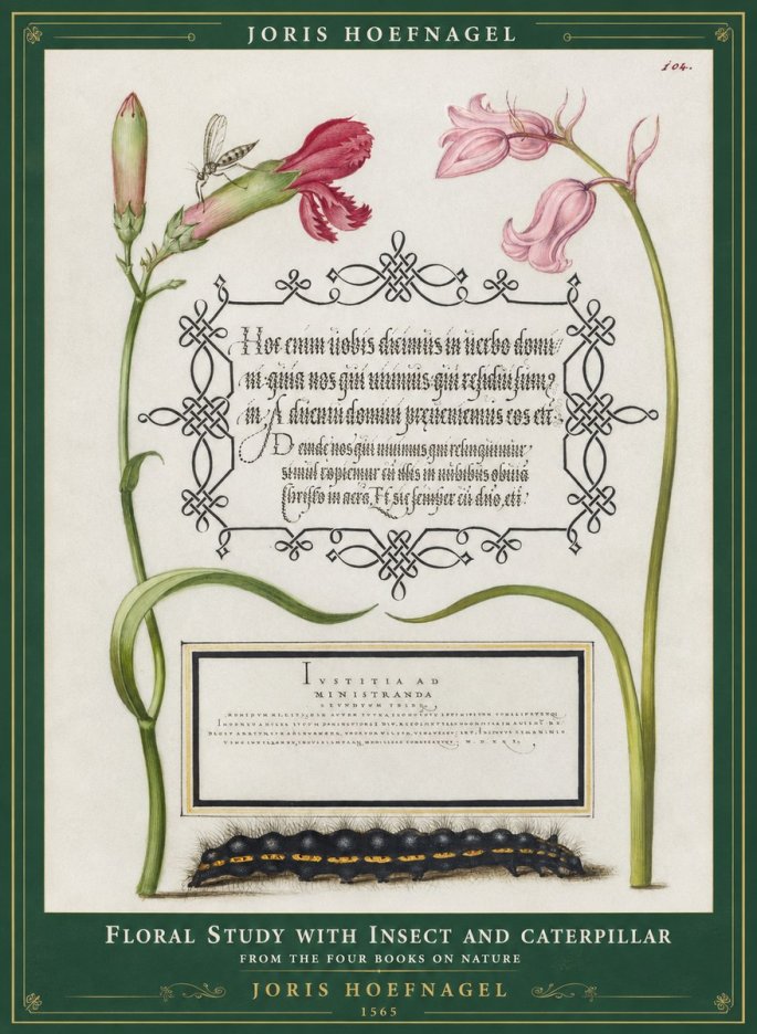 Joris Hoefnagel Floral Study with Insect and Caterpillar No1 - Poszter