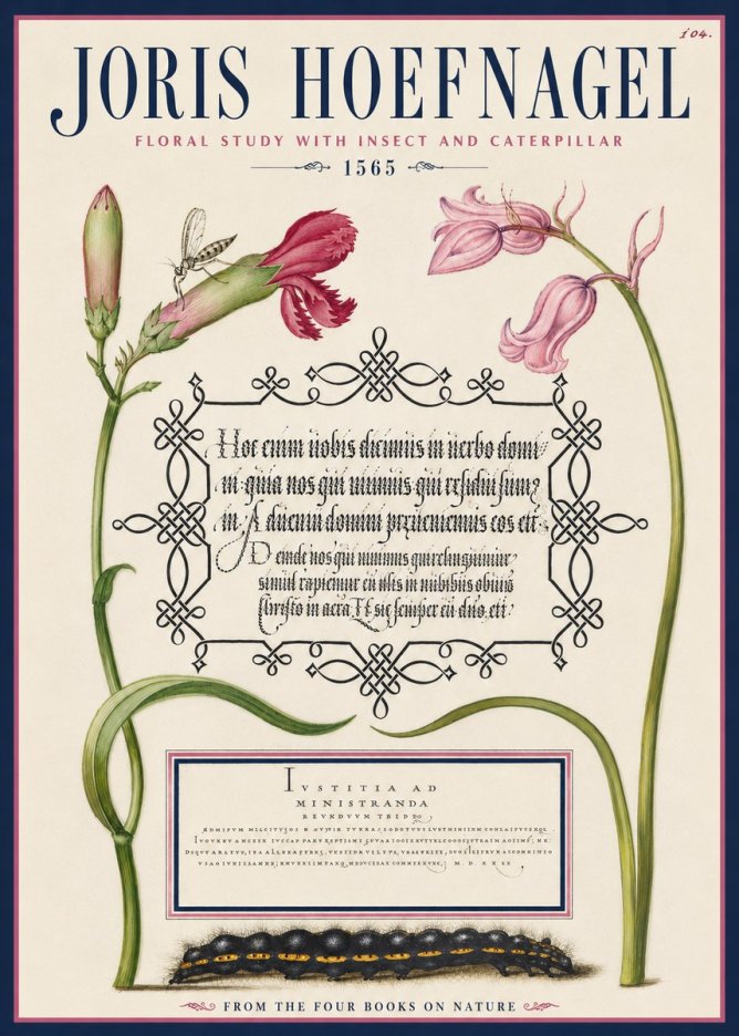 Joris Hoefnagel Floral Study with Insect and Caterpillar No4 - Poszter