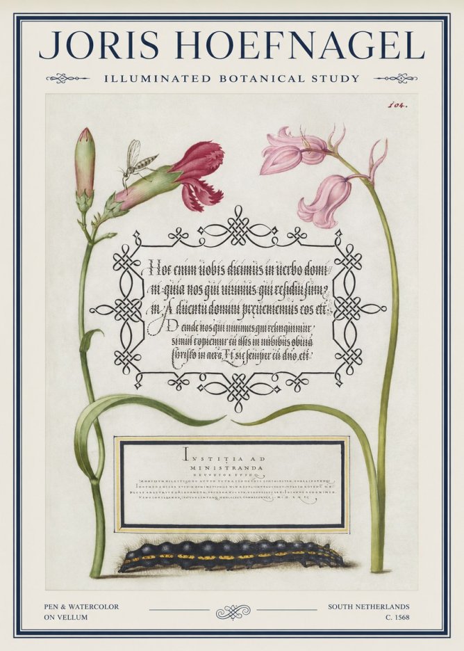 Joris Hoefnagel Floral Study with Insect and Caterpillar No5 - Poszter