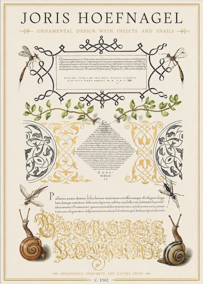 Joris Hoefnagel Memento Mori No2 - Poszter