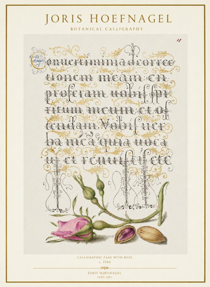 Joris Hoefnagel Calligraphic Page with Rose No1 - Poszter