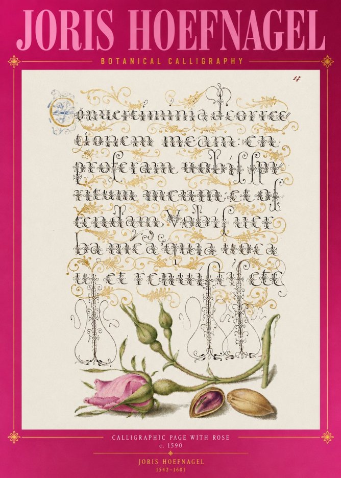 Joris Hoefnagel Calligraphic Page with Rose No2 - Poszter
